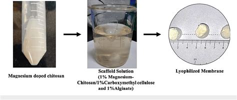  カルボキシメチルセルロースの驚異的な応用！耐久性と生体適合性を兼ね備えた革新素材を探求